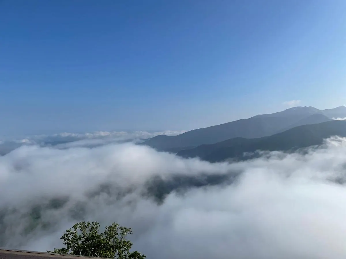 旅館 ホテル 朝陽亭 神河町